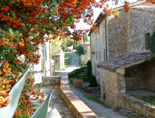 Tour di mezza giornata del Chianti